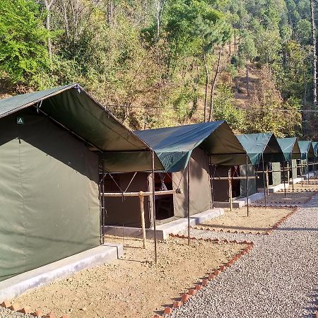 Jungle Stays Chail Esterno foto